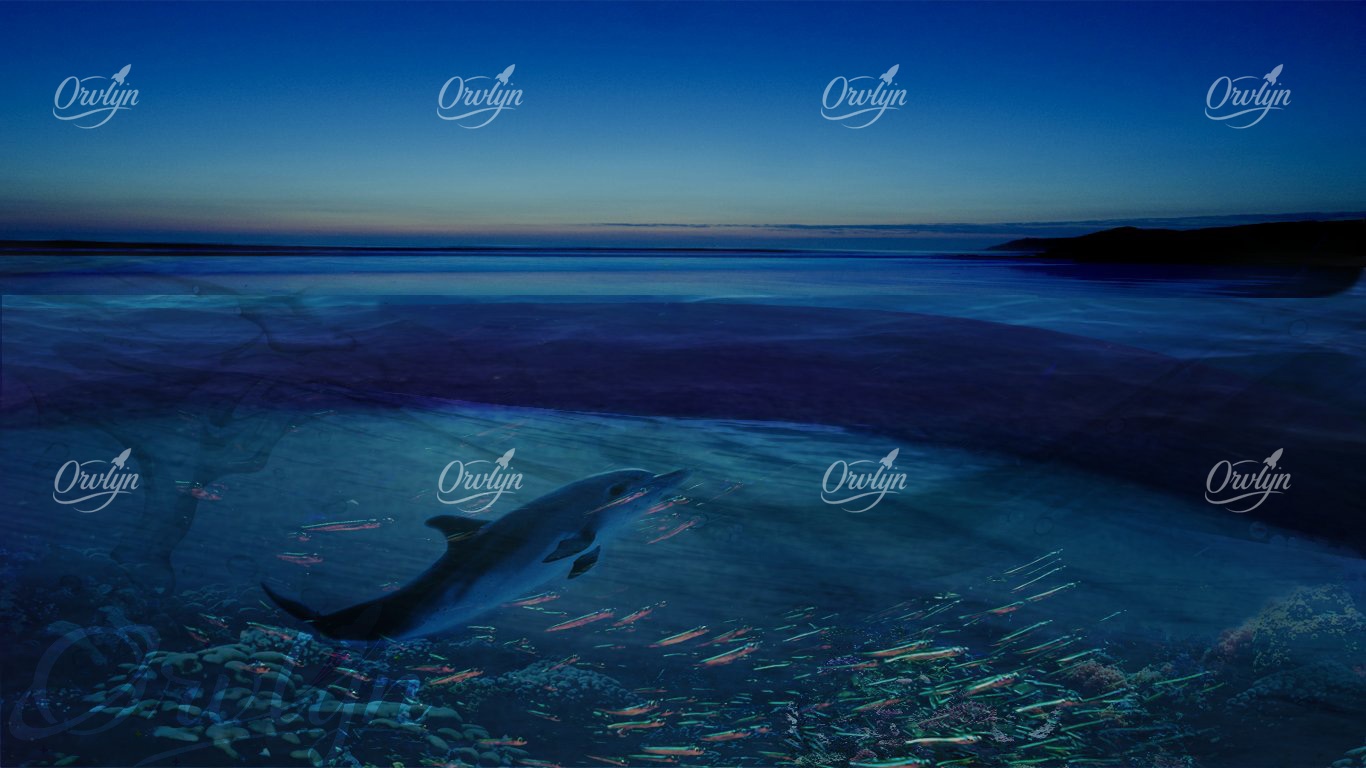 Underwater_BG Artwork